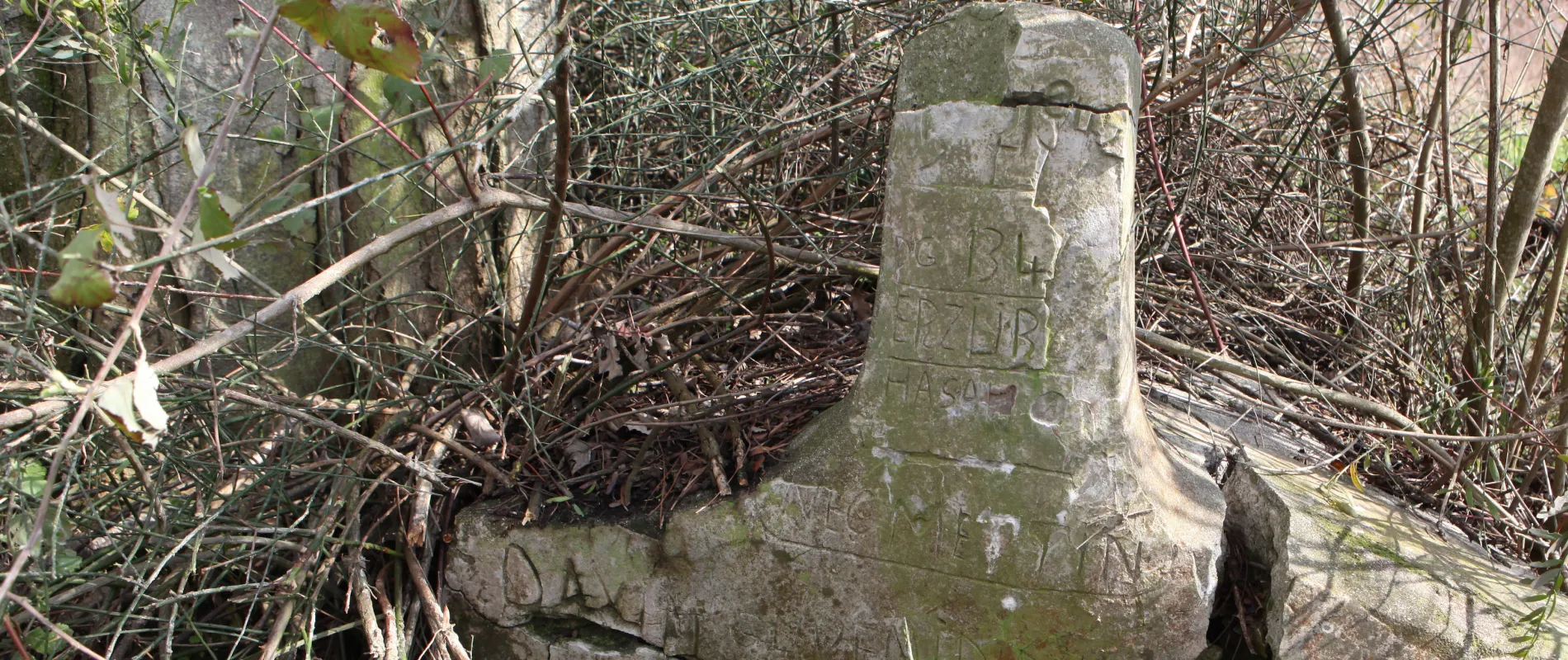 Girmediğimiz savaşta binlerce Türk şehit