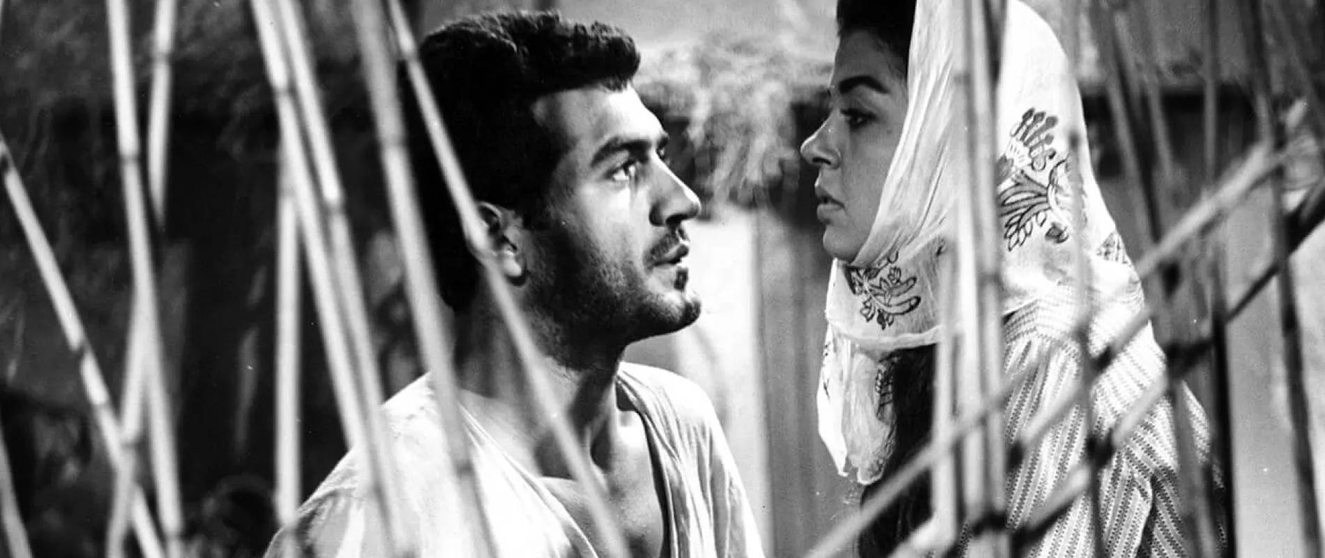 YILANLARIN ÖCÜ FİLMİNDEN BİR SAHNE