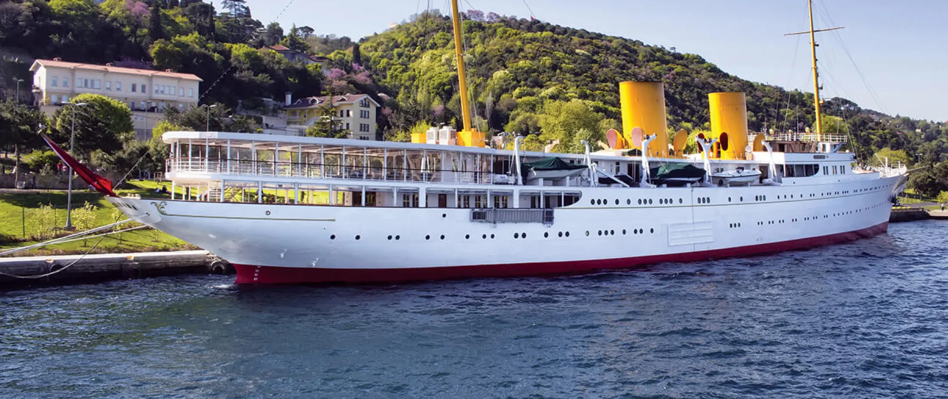 NARİN BEYAZ GÖVDESİ VE YUMUŞAK SARI BACALARIYLA SAVANORA… (FOTOĞRAF: SHUTTERSTOCK)