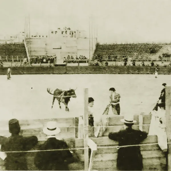 Boğa güreşleri İstanbul'da