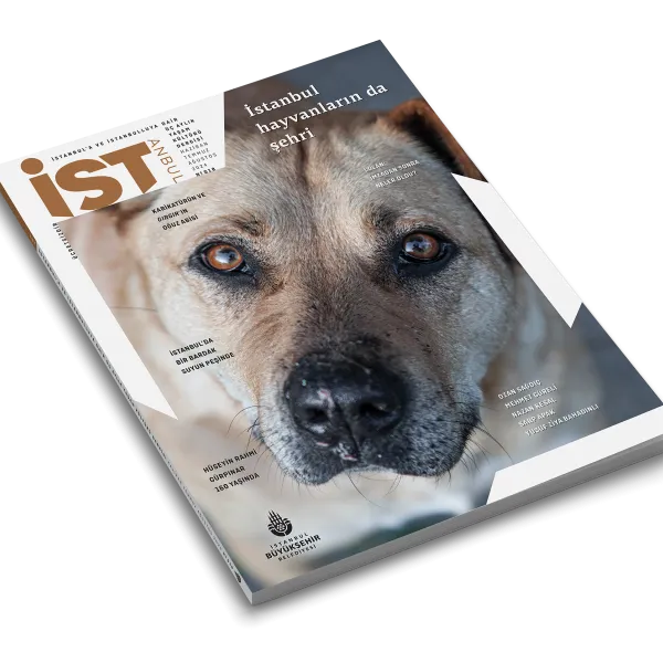 İST'in 18. sayısı çıktı