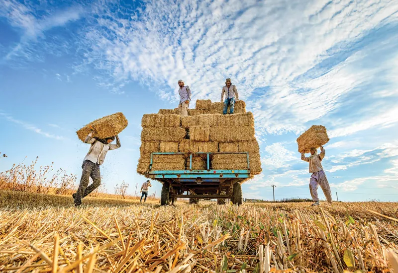 Silivri, Seymen Köyü (Fotoğraf: Murat İbranoğlu) 