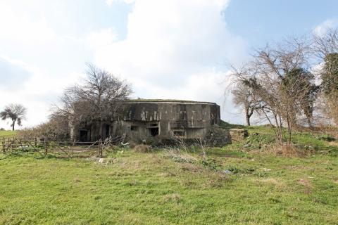 Dağyenice Köyü