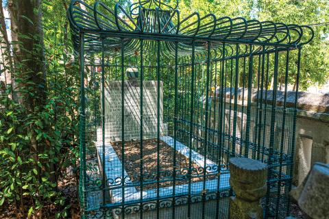 YUSUF FAHİR BABA’NIN FENERBAHÇE SPOR KULÜBÜ’NÜN MANEVİ KORUYUCUSU OLDUĞUNA İNANILIYOR